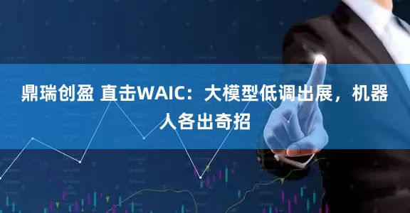 鼎瑞创盈 直击WAIC：大模型低调出展，机器人各出奇招